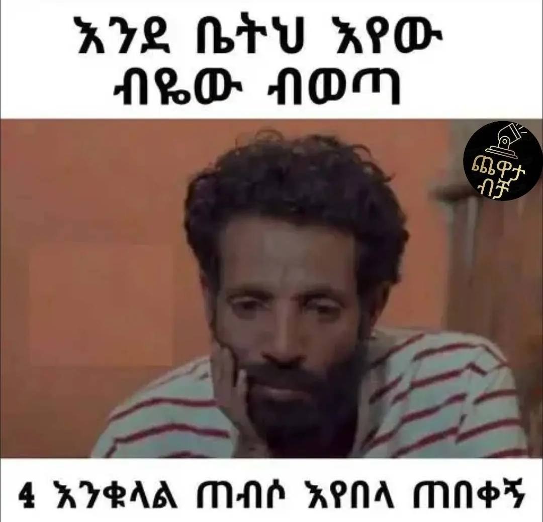 በቀኝ ጠብሶ እየበላ ጠ ፅ እንቁላል mane xeNA M 4 WYBAA